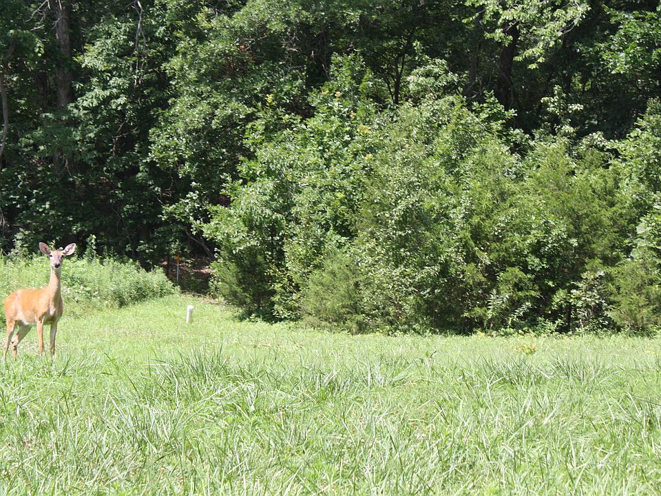 1st image of 942 Nob Hill Rd