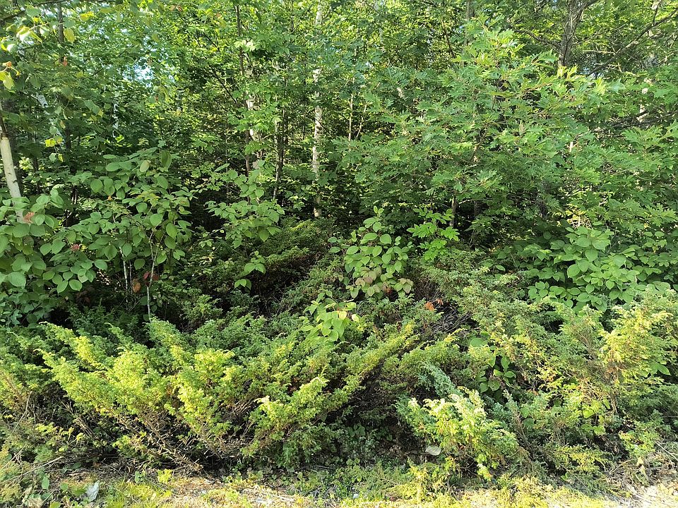 1st image of Harwood Ct