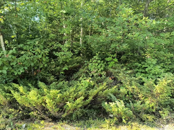 Harwood Ct, Presque Isle, MI 49777