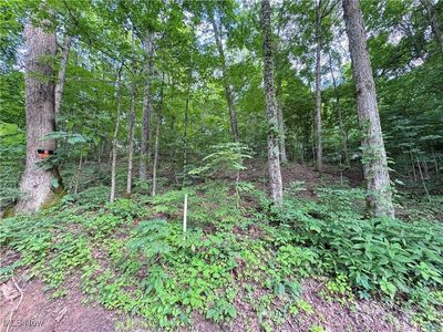 50530 Wargo Rd, Caldwell, OH, 43724