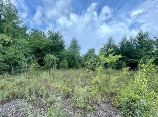 89 Road, O'Brien, FL 32071