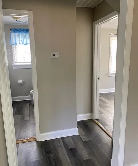 11900 Wilcox Neck Rd — Photo 17