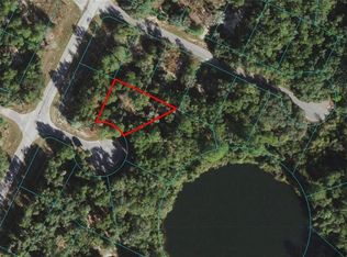 Maluka Radial Pl LOT 32, Ocklawaha, FL 32179