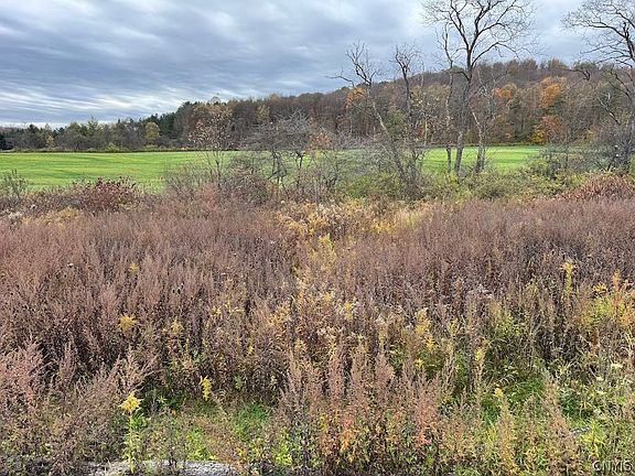 5th image of 9337 New Albion Rd Lot 31