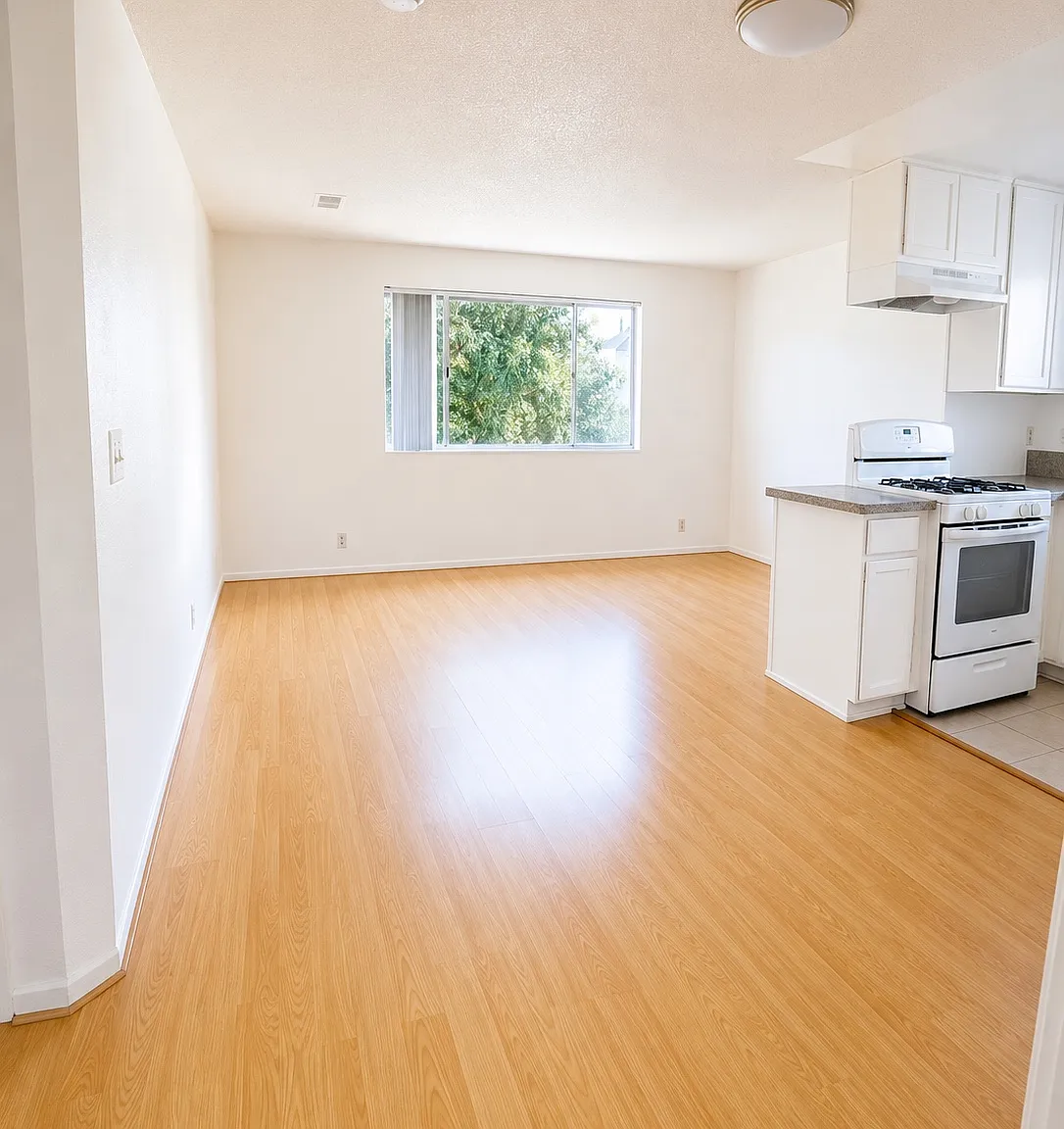 1 bed, 700 sqft, $2,100 — Photo 2