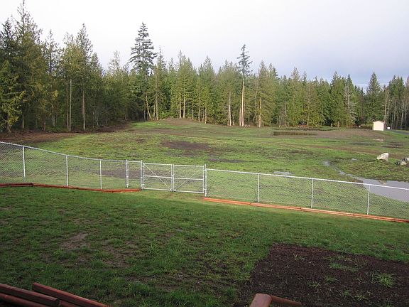 Fenced Back Yard and lower property