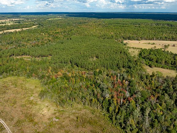 5th image of 0 Fortner Pond Rd Tract 1
