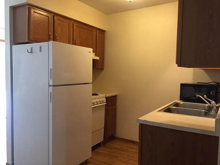 1301 E Harding Dr — Photo 22