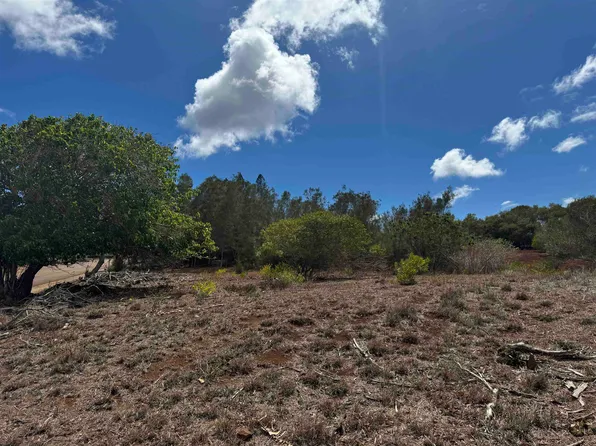 Kaana St #499, Maunaloa, HI 96770