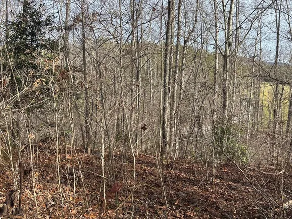 Vanwinkle Cemetery Rd, Crossville, TN 38572