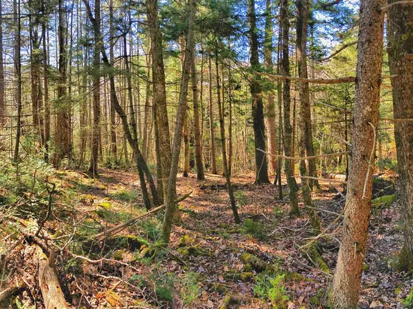 1765 State Route 125, Hancock, VT 05748