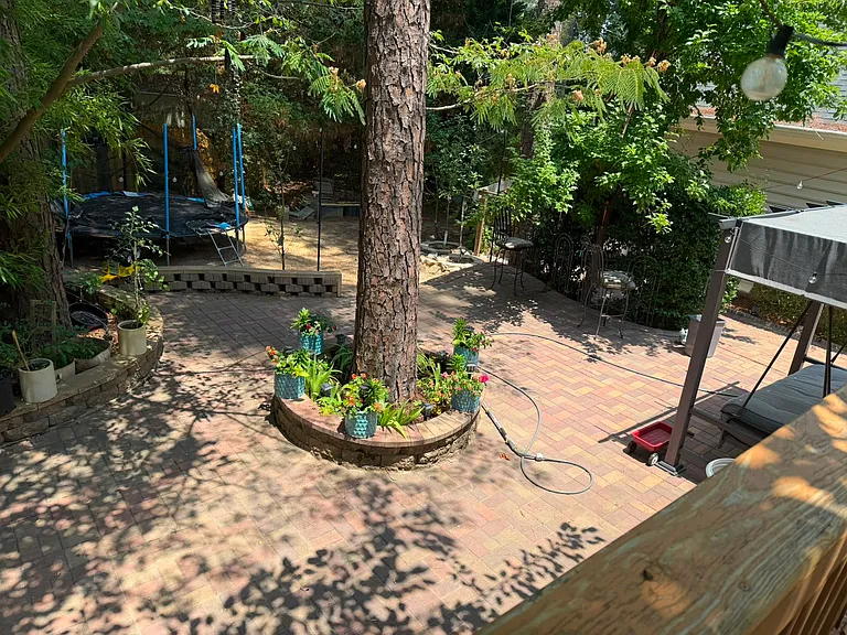 304 Star Magnolia Dr — Photo 24