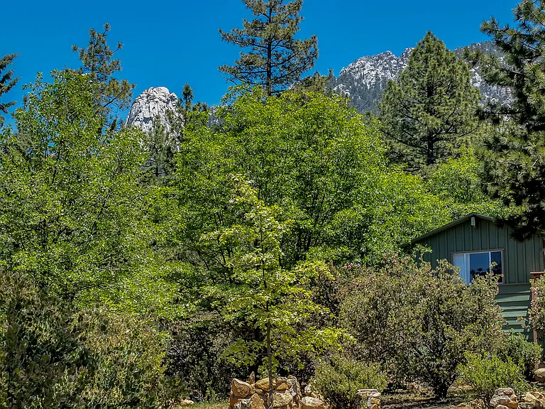 25465 Seneca Dr — Photo 69