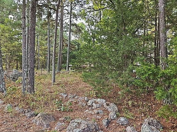 3rd image of 899 Sycamore Springs Rd