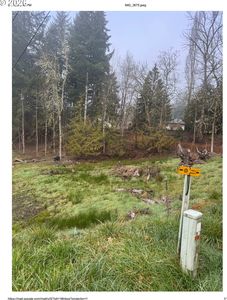 487 Haussler Rd, Kelso, WA, 98626