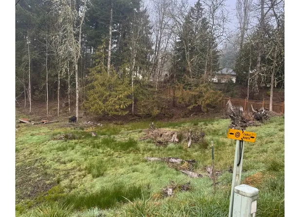 487 Haussler Rd, Kelso, WA 98626