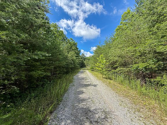 2nd image of 0 Maple St
