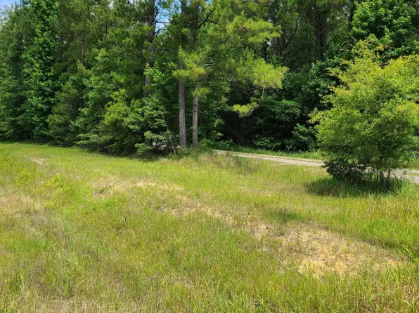 Nhn Broome School Rd, Perkinston, MS 39573