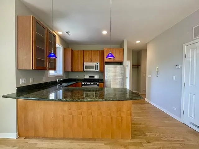1150 N Hoyne Ave #2 — Photo 13