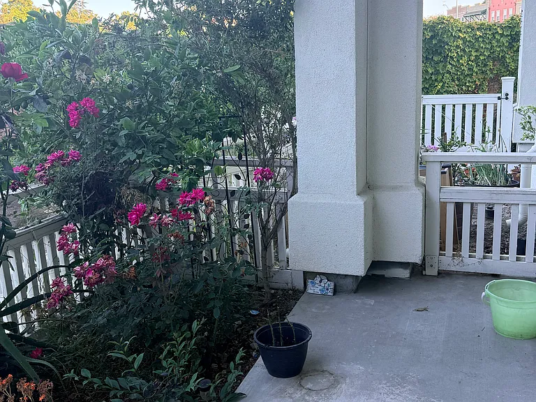 Front Porch & small garden