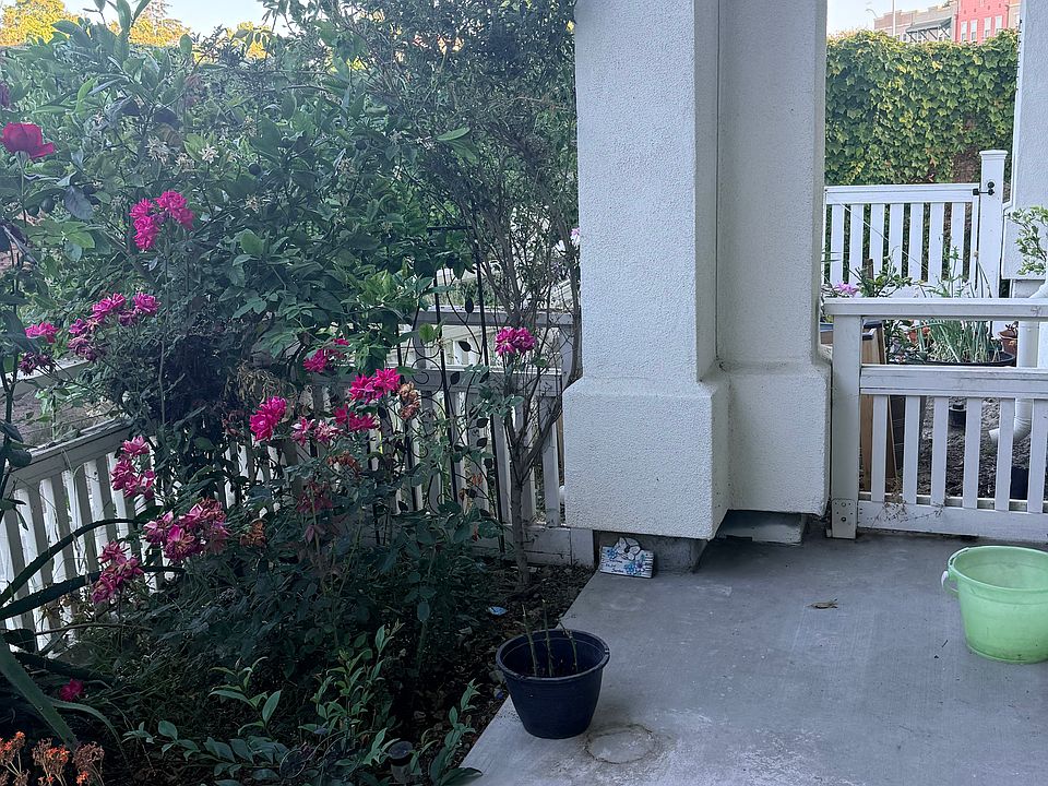 Front Porch & small garden