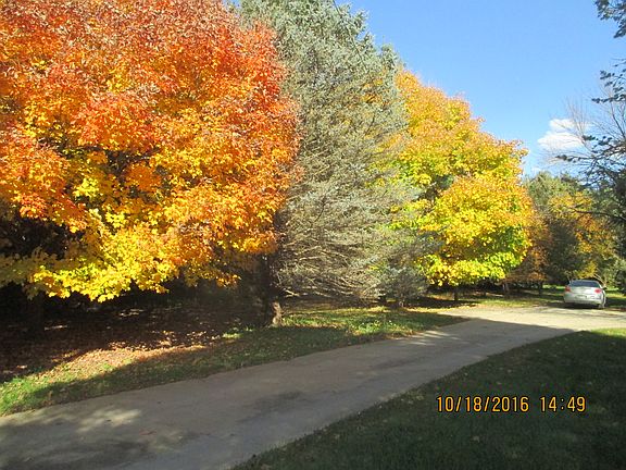 Fall Coloring on Acreage