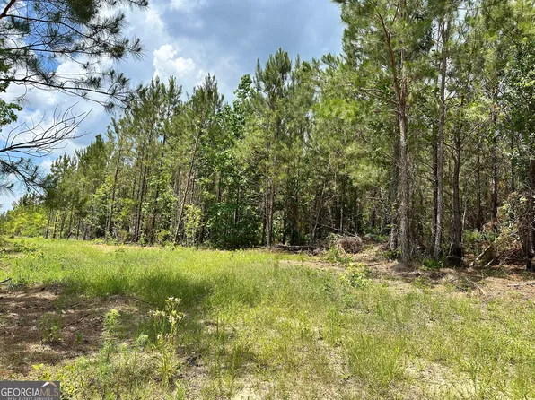 LOT 7.5 State Highway 19, Dublin, GA 31021
