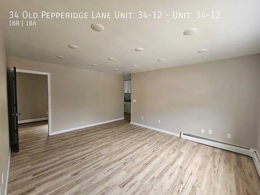 1 bed, 800 sqft, $1,800 — Photo 2