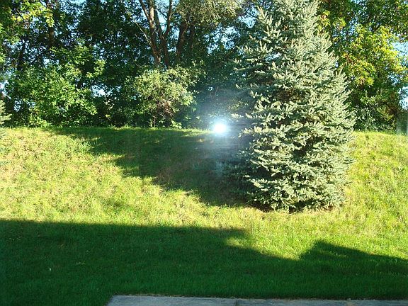 backyard view from patio