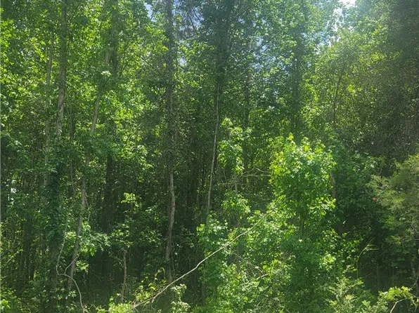 0 O'B Brown Rd, Auburn, AL 36830