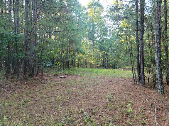 4th image of Firestone Ln Lot 1