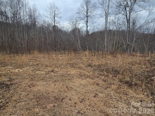 138 Fairlane Loop Lot 19, Whittier, NC 28789