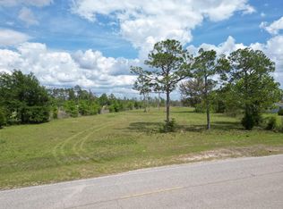Turkey Creek Rd NW, Bristol, FL 32321