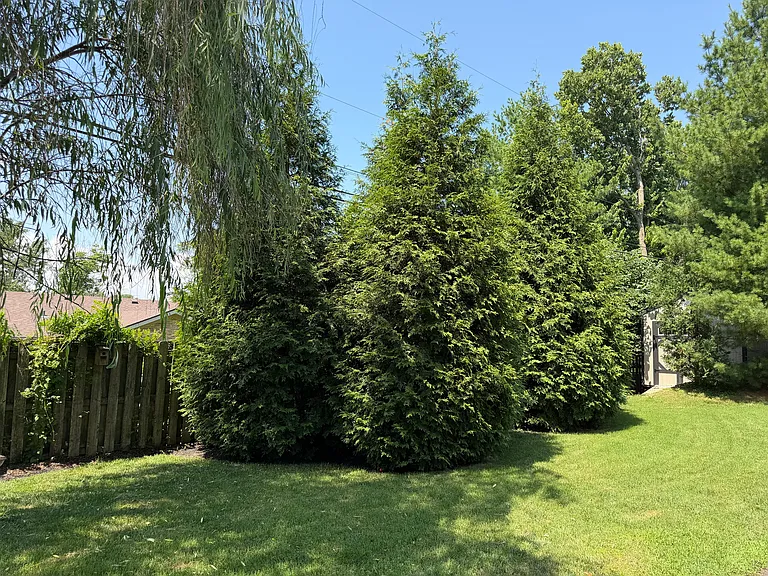 407 1/2 Talbott Dr — Photo 10
