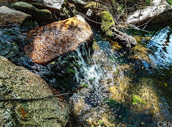 Creeks on the property!