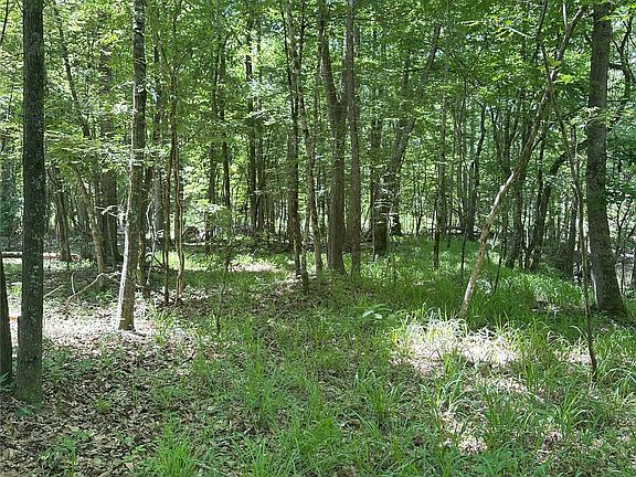 5th image of 42 High Way