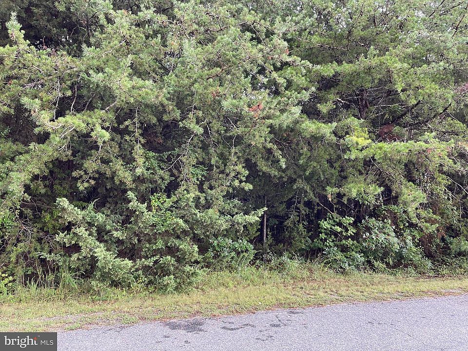 2nd image of 3708 Morning Glory Dr