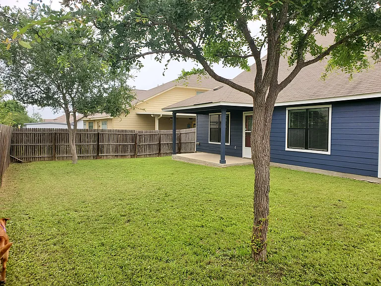 Backyard of House