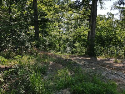 TRACT 4 Hawkins Ln, Stamping Ground, KY, 40379