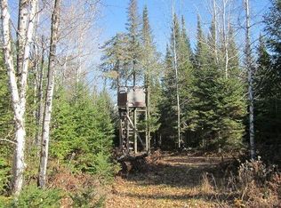 Tbd E Central Lakes Rd, Eveleth, MN 55734
