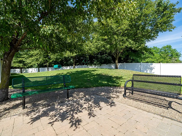 Dog Park