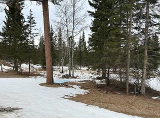 Trolley Trail Ct, Lead, SD 57754