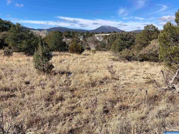 E Cain Dr, Silver City, NM 88061