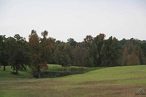 2nd image of 16698 County Road 223