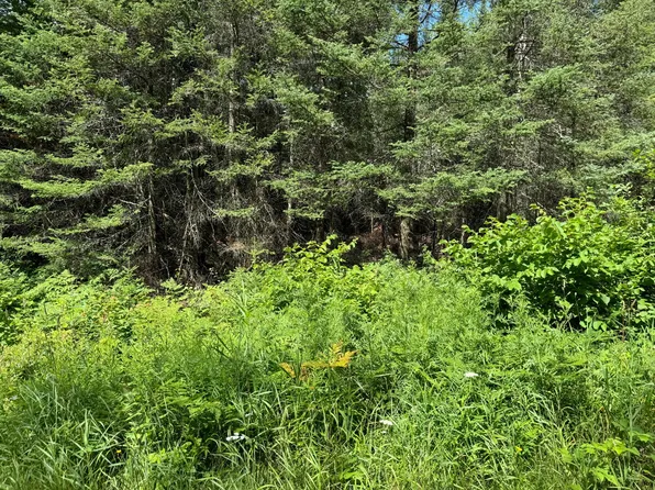 E Bilby Rd, Tomahawk, WI 54487