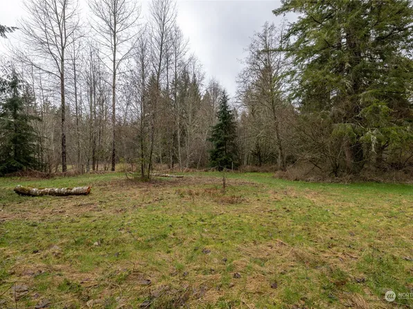 0 212th Avenue E, Elbe, WA 98330