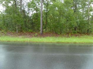 65 Daisy St, Homosassa, FL 34446