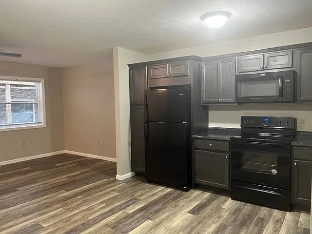 1 bed, $950 — Photo 2