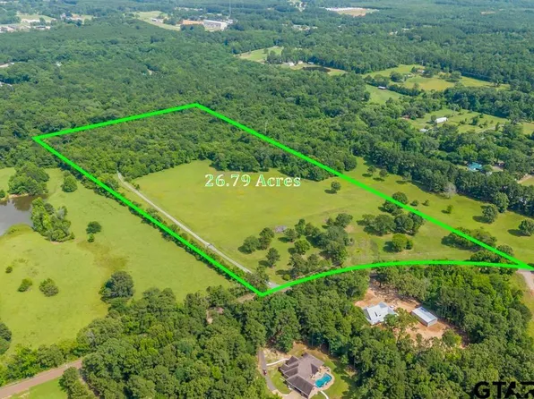 TRACT 1 Maple Springs Rd, Hallsville, TX 75650