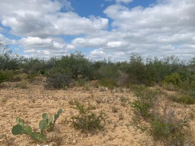 Abs 20 Por 35 Out Of Area, Zapata, TX, 78076